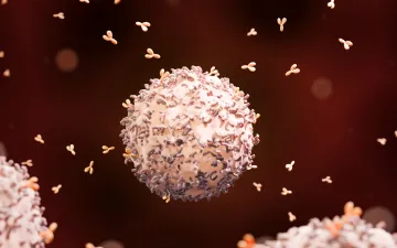 B cel met antistoffen