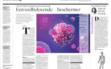 Parool artikel