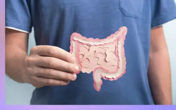 Persoon houdt een papieren model van het darmen omhoog