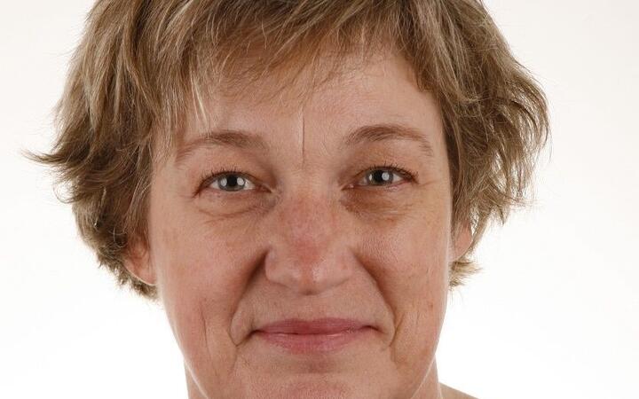 Prof Marieke (S. M.) van Ham, PhD