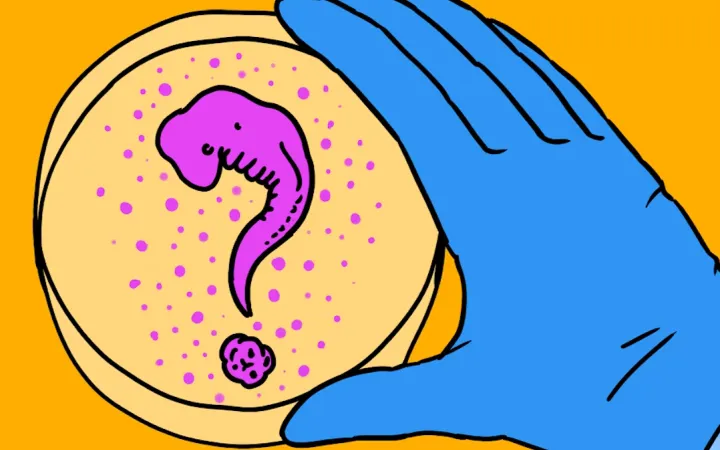 embryo's in het lab (NEMO-Kennislink)