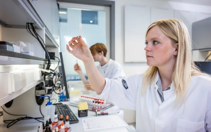 Testbuisje