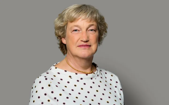 Prof Marieke (S. M.) van Ham, PhD