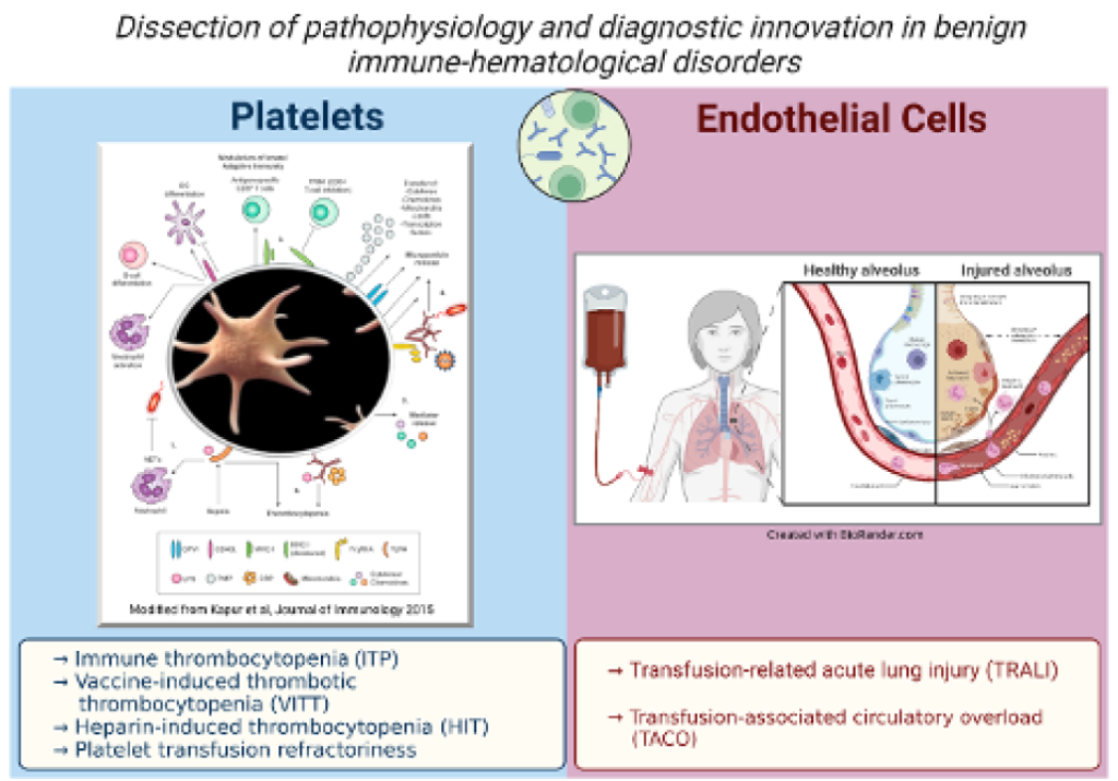 Infographic Pathophysiology of immune-mediated disorders of platelets and endothelium