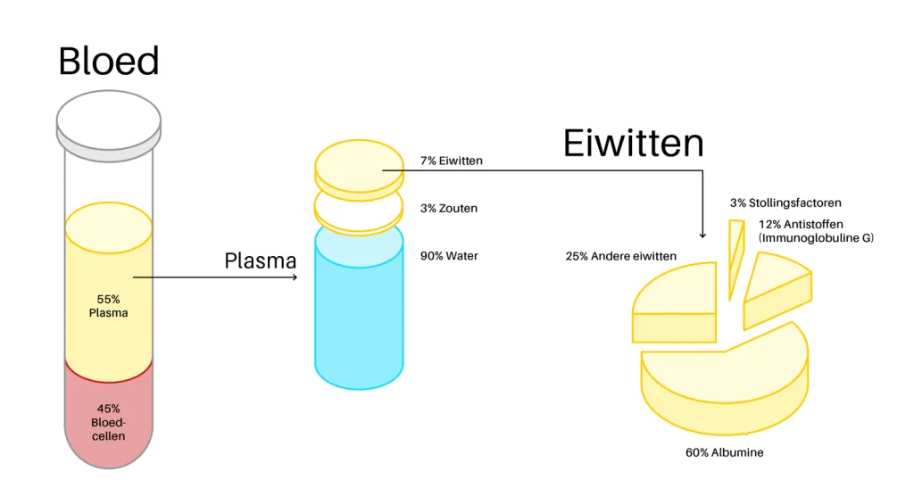 Samenstelling_bloed_plasma