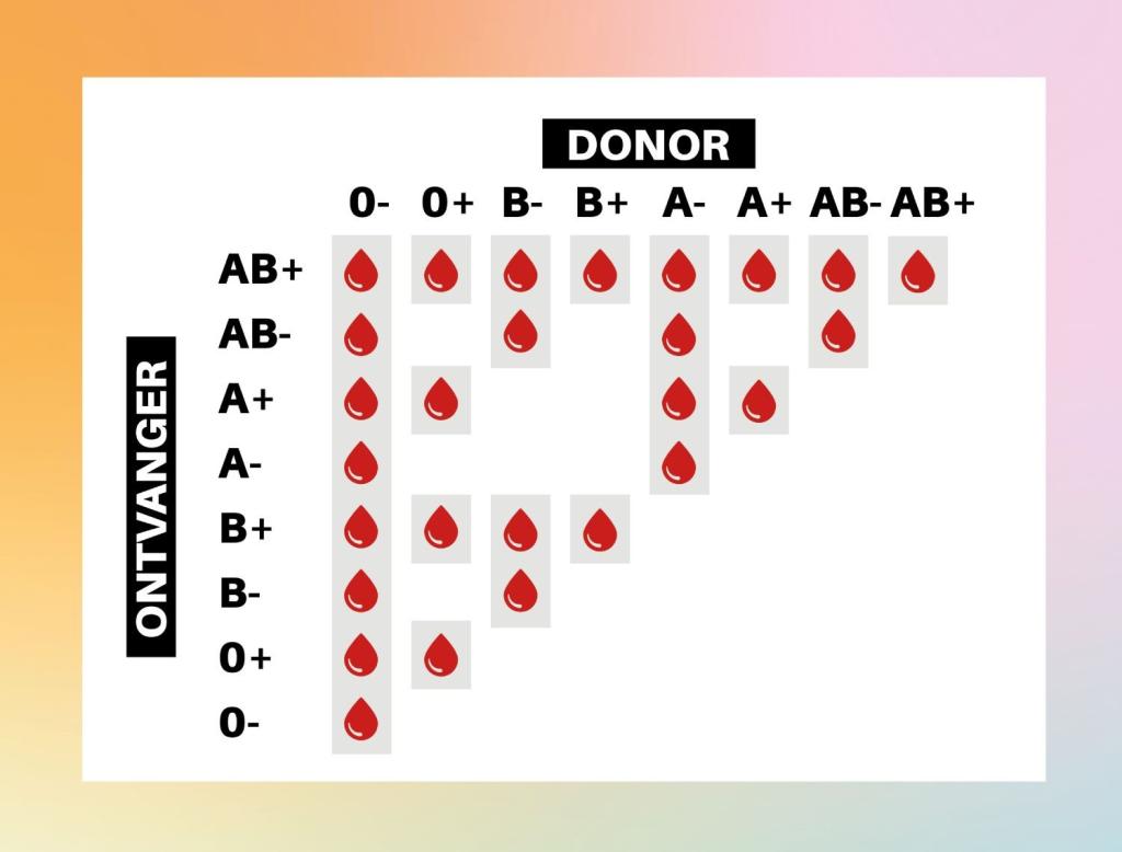 Bloedgroepen: donors en ontvangers