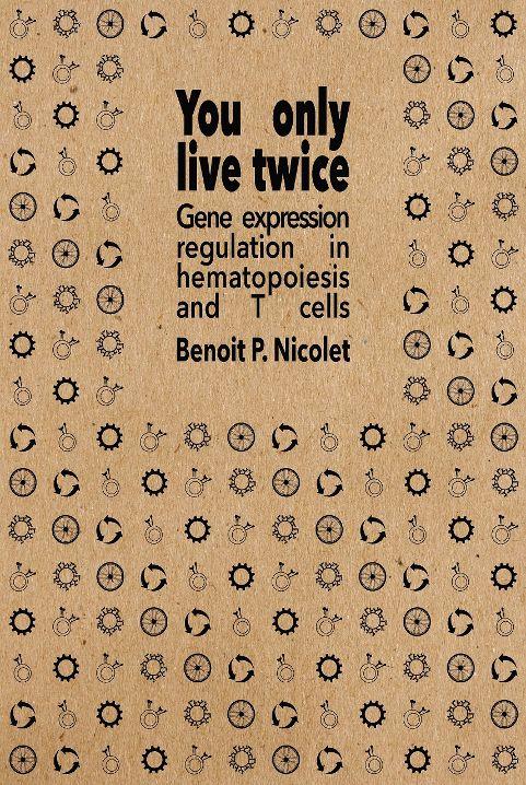 Thesis_Benoit_Nicolet