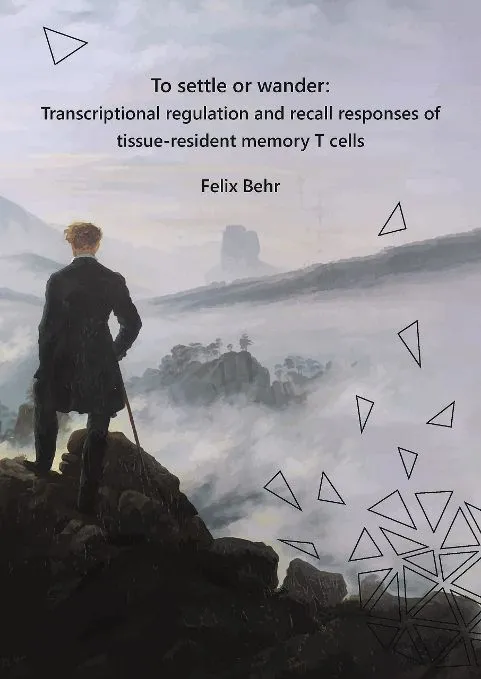 Thesis_Felix_Behr