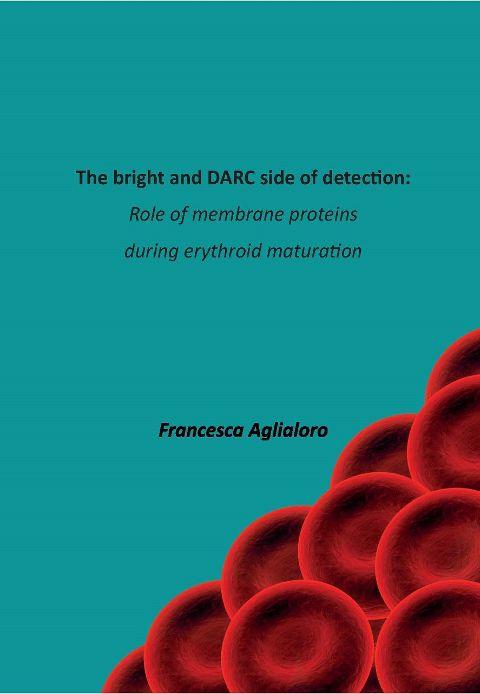Thesis_Francesca Aglialoro