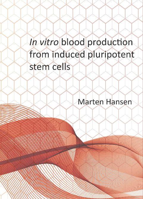 Thesis_Marten_Hansen