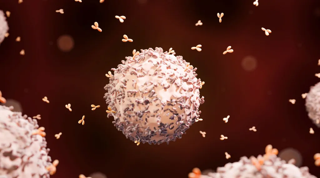 B cel met antistoffen