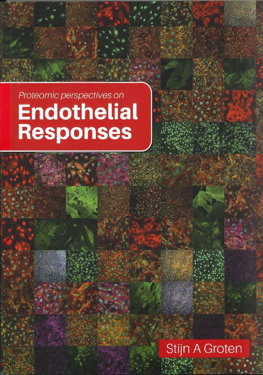 Cover PhD thesis Stijn Groten