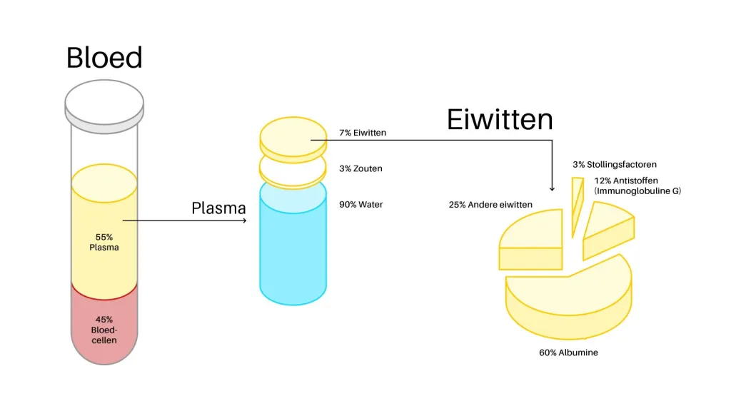 Infographic plasma componenten