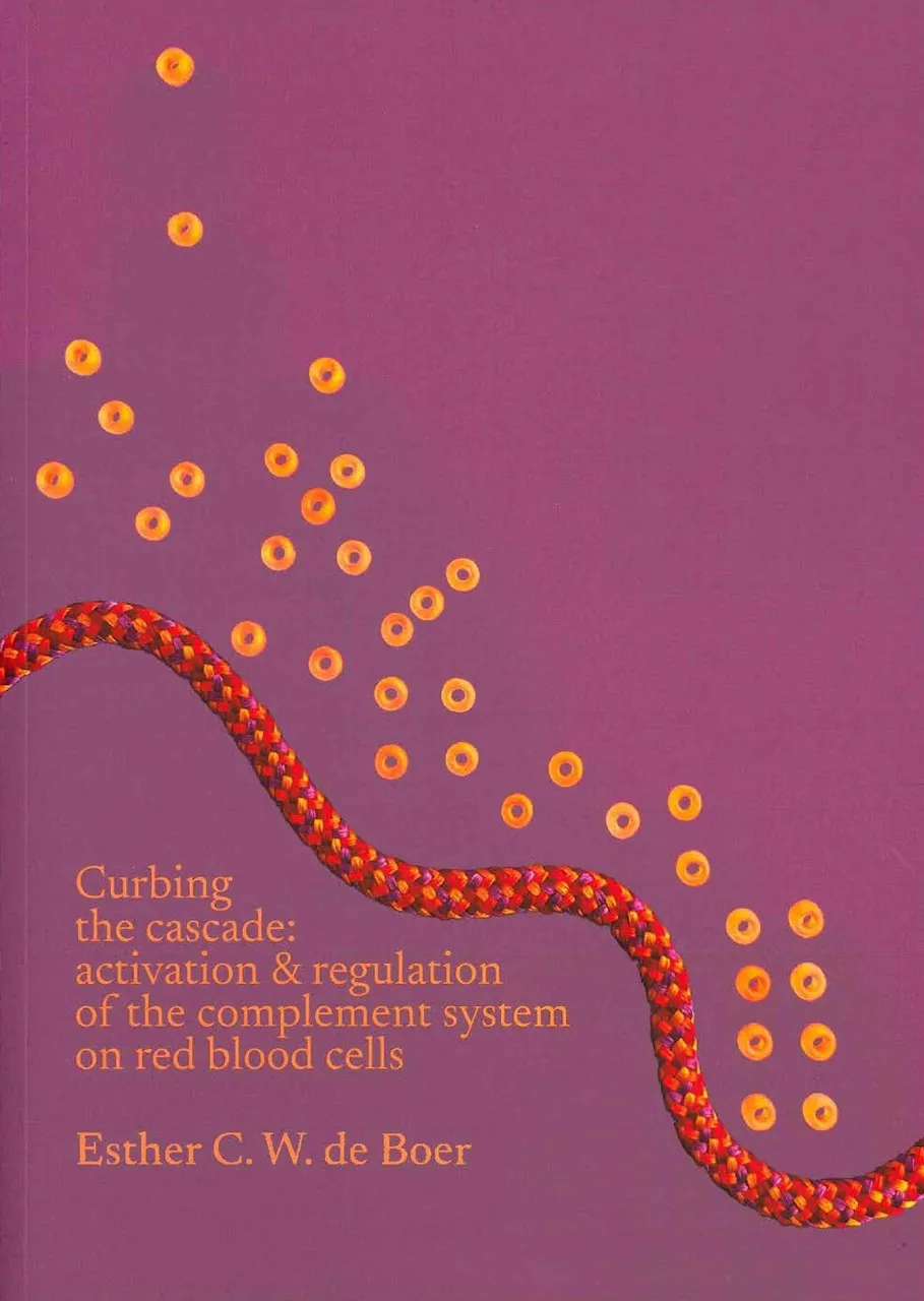 Cover PhD thesis Esther de Boer