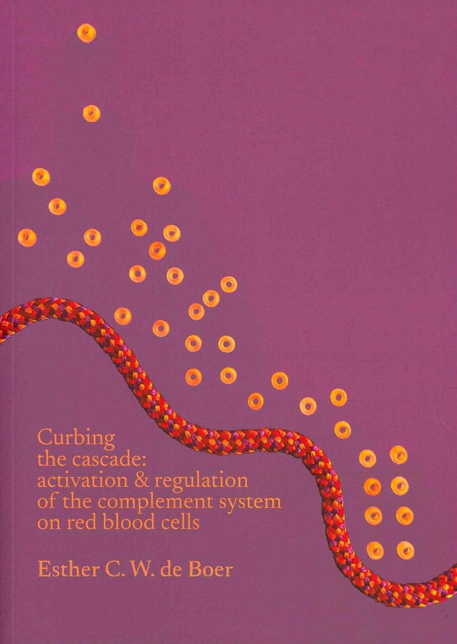 Cover PhD thesis Esther de Boer