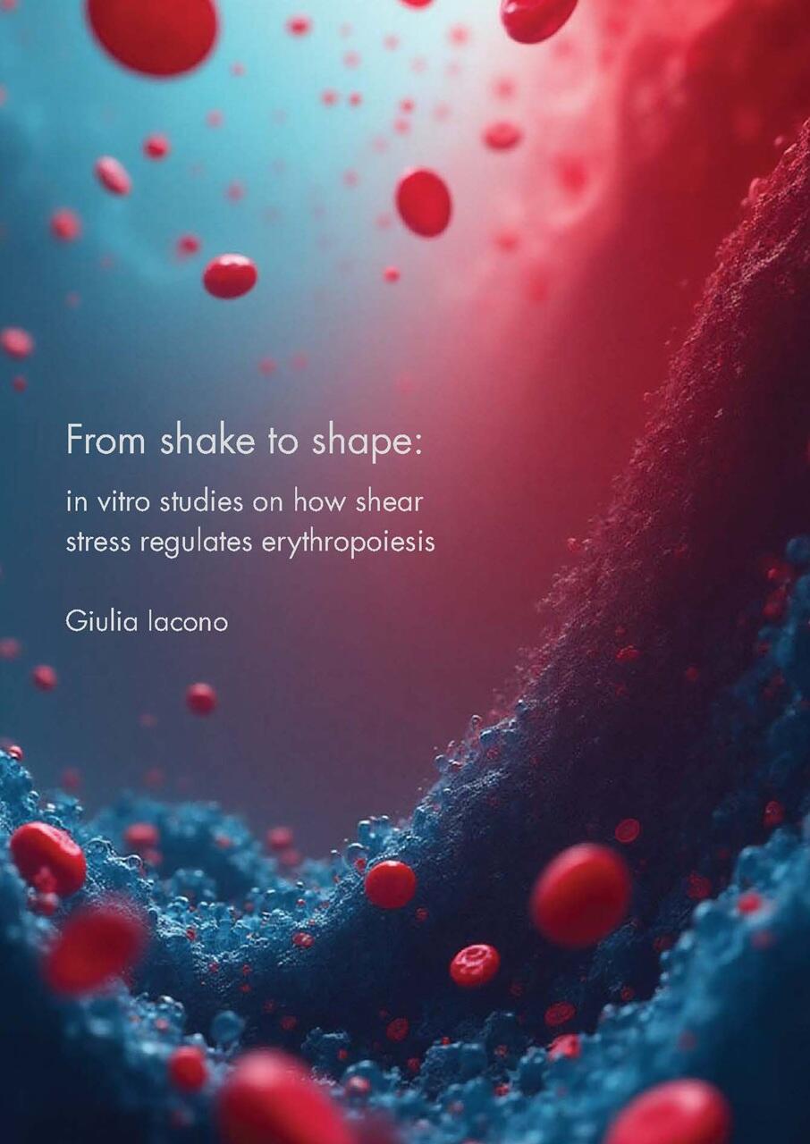 Cover PhD thesis Giulia Iocono