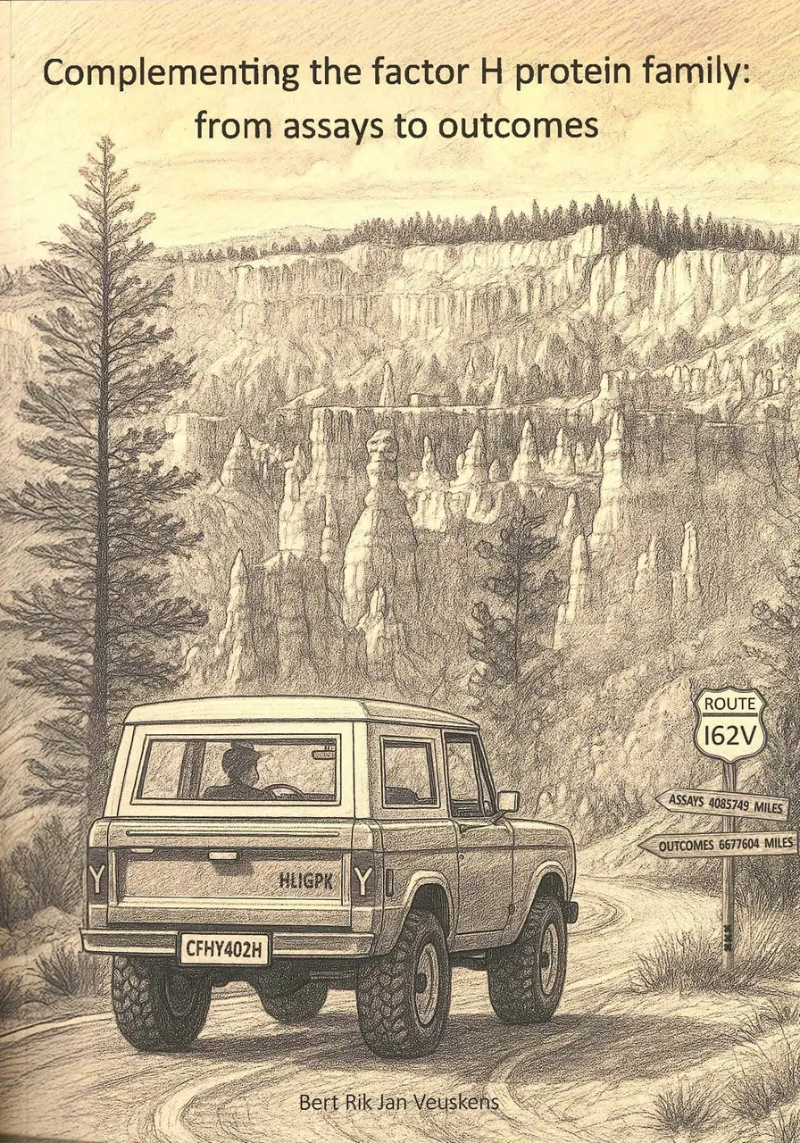 Cover PhD thesis Bert Veuskens