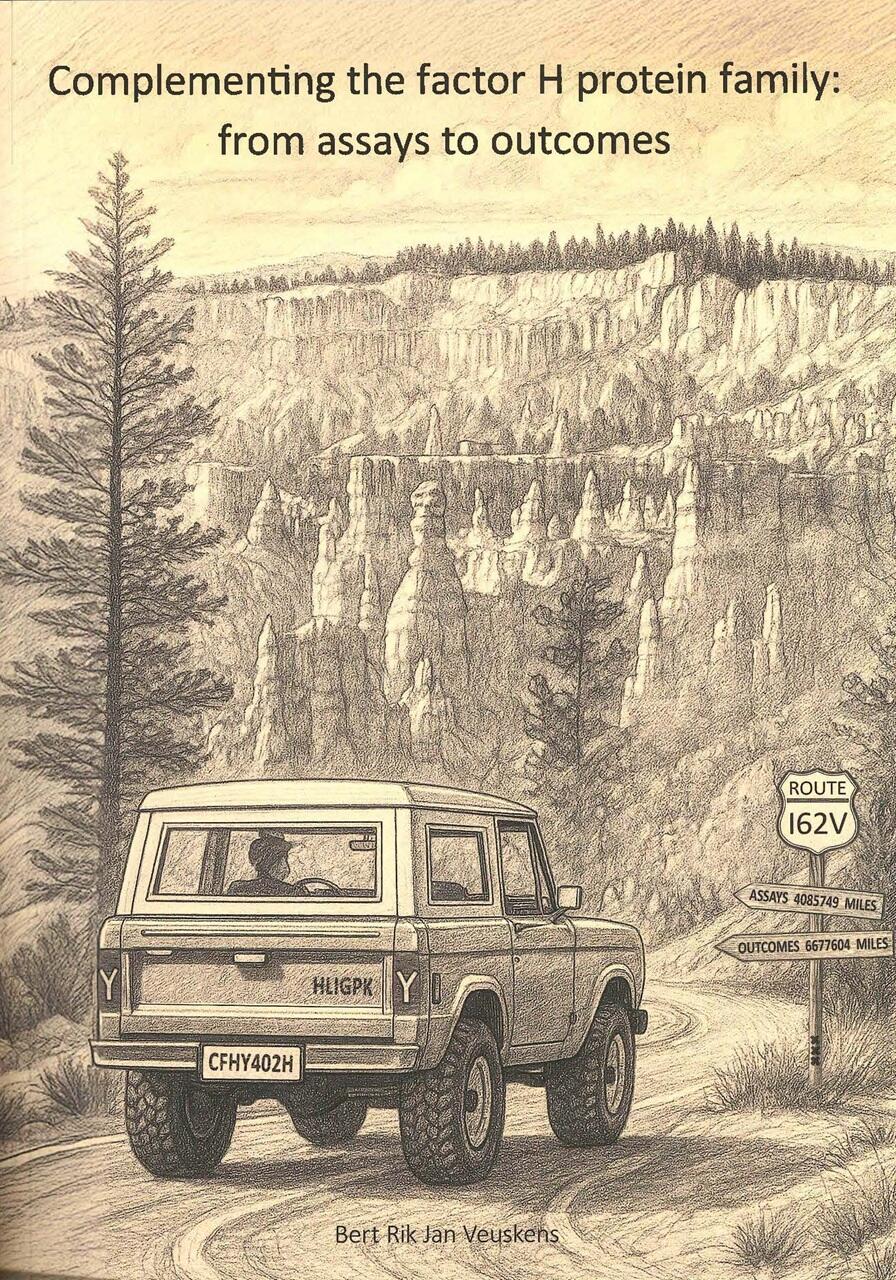 Cover PhD thesis Bert Veuskens