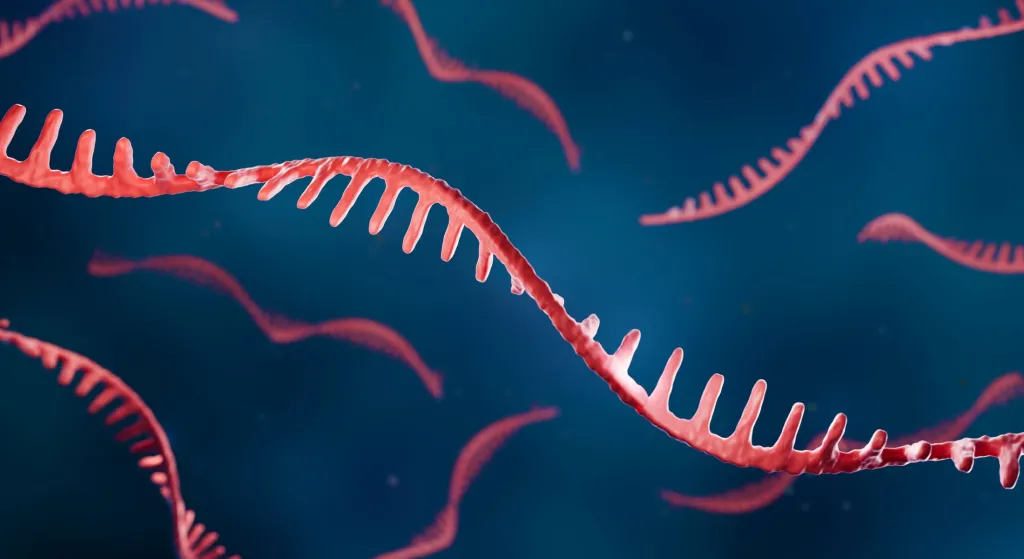 mRNA