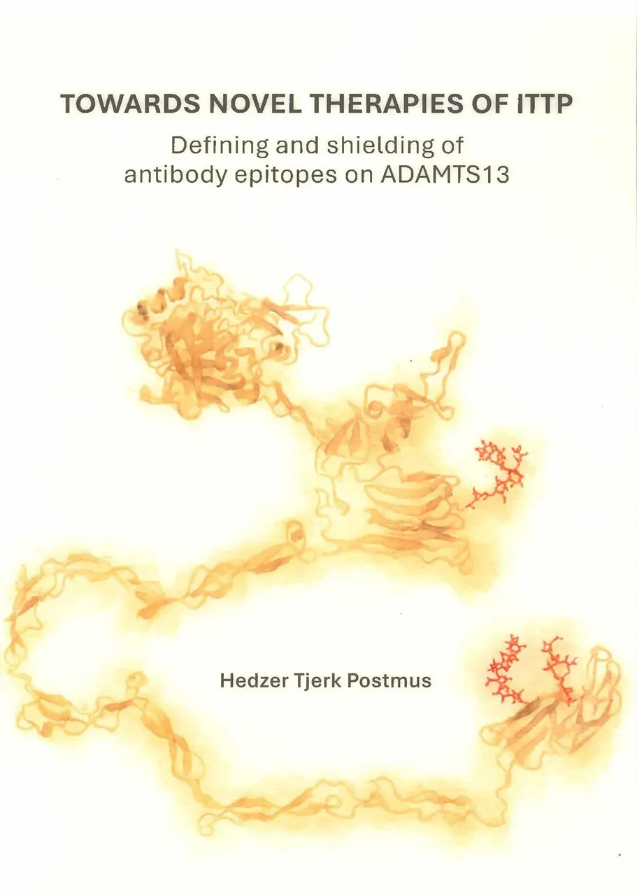 Cover PhD thesis Tik Postmus