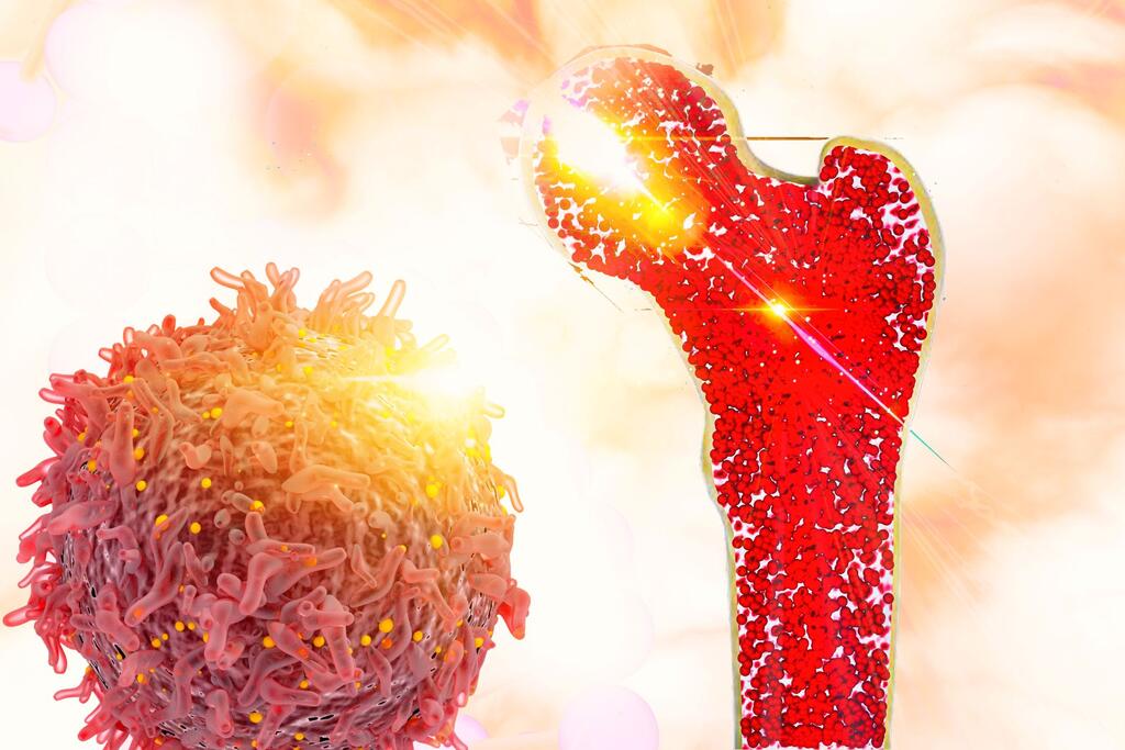 beenmerg, stamcellen