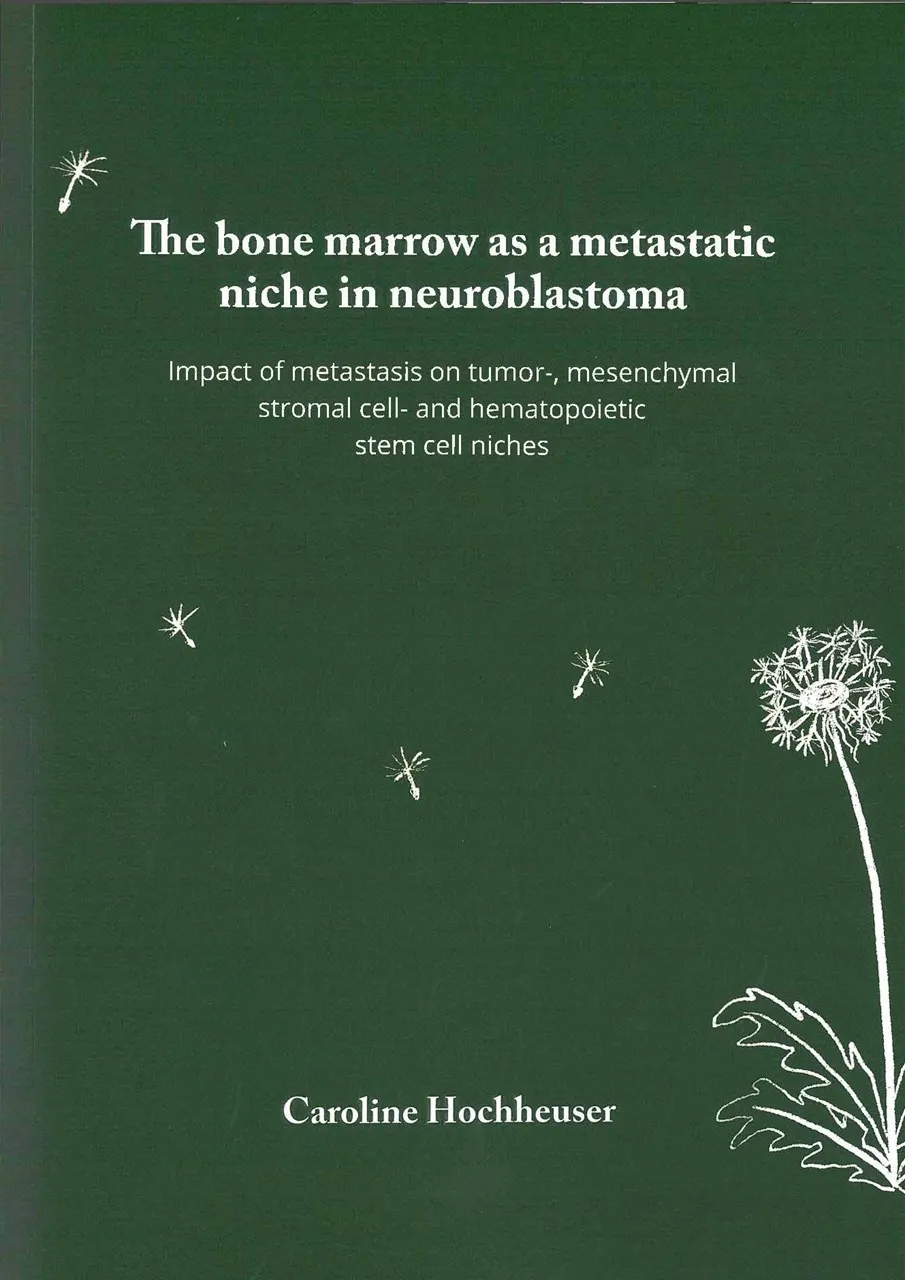 Cover PhD thesis Caroline Hochheuser 