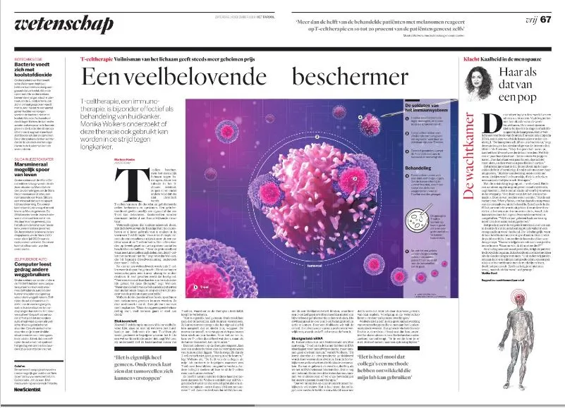 Parool artikel