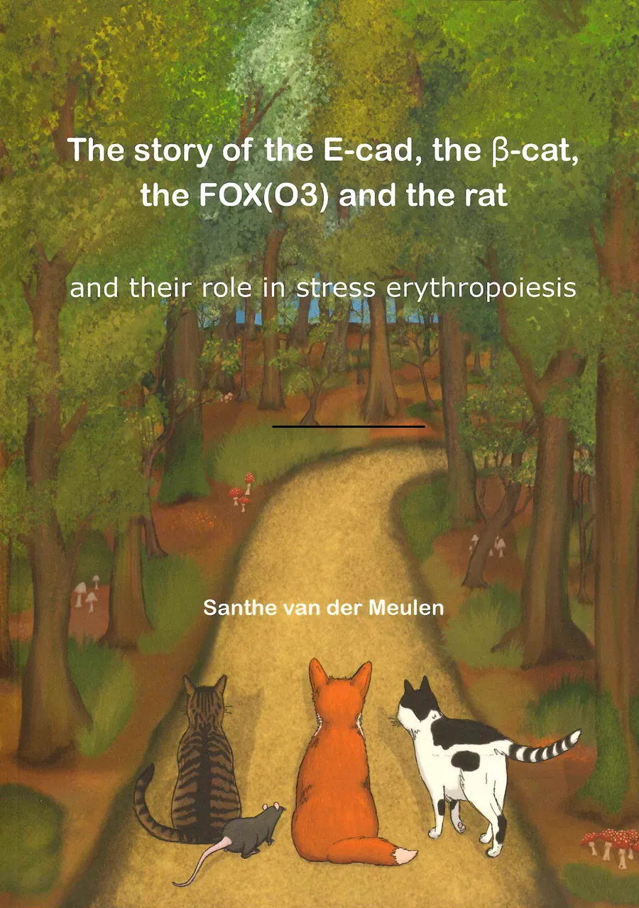 Cover PhD thesis Santhe van der Meulen