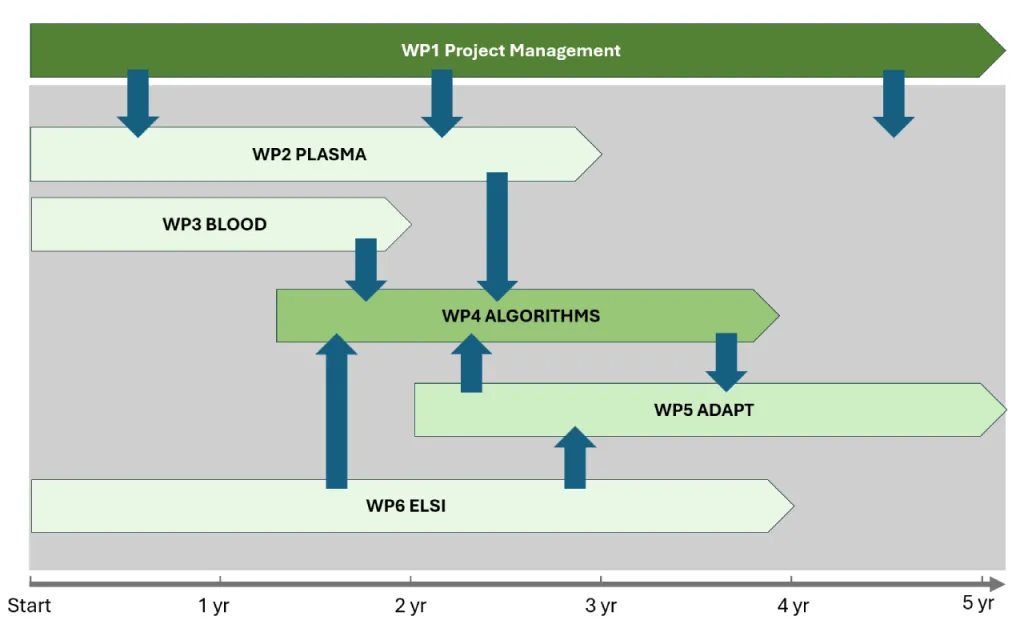 Processchema van de werkpakketten WP1 tot en met WP6 over een periode van 5 jaar