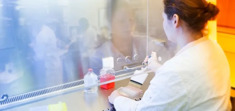 Immunomonitoring - Simone