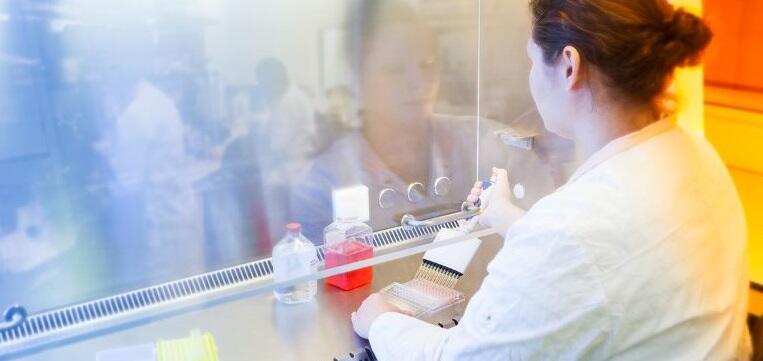 Immunomonitoring - Simone