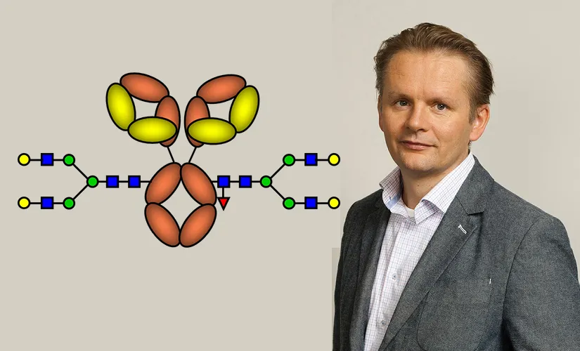 Gestur Vidarsson suikerketens