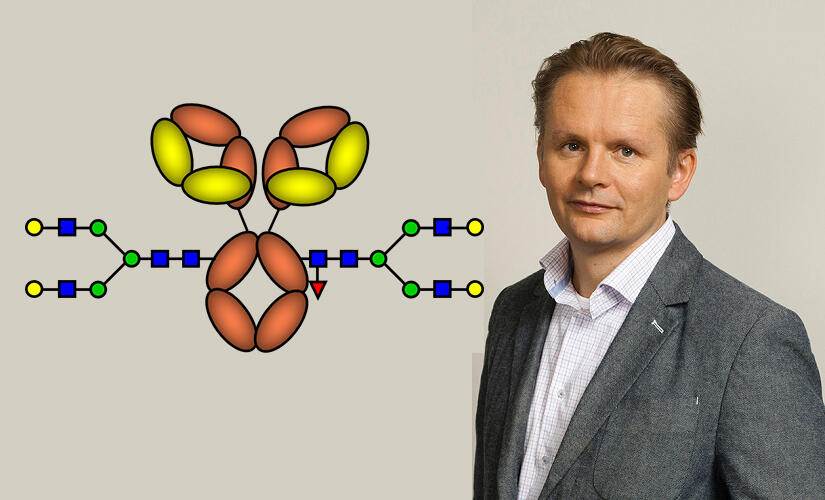 Gestur Vidarsson suikerketens