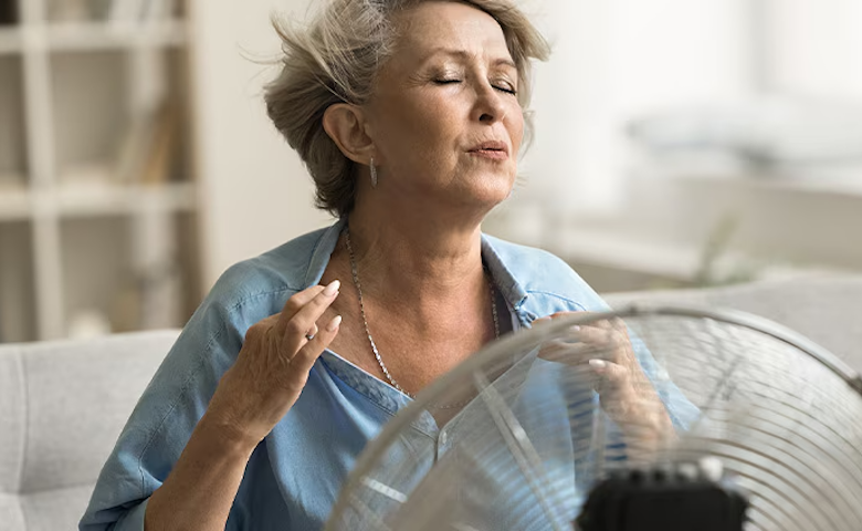 Sanquin webinar hormonen