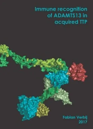 Cover thesis Fabian Verwij