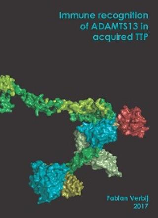 Cover thesis Fabian Verwij