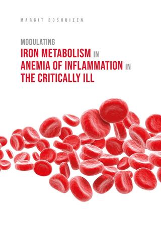 Cover thesis Margit Boshuizen