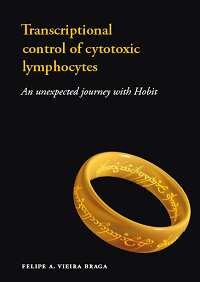 Cover thesis Felipe Braga