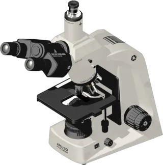 Microscope