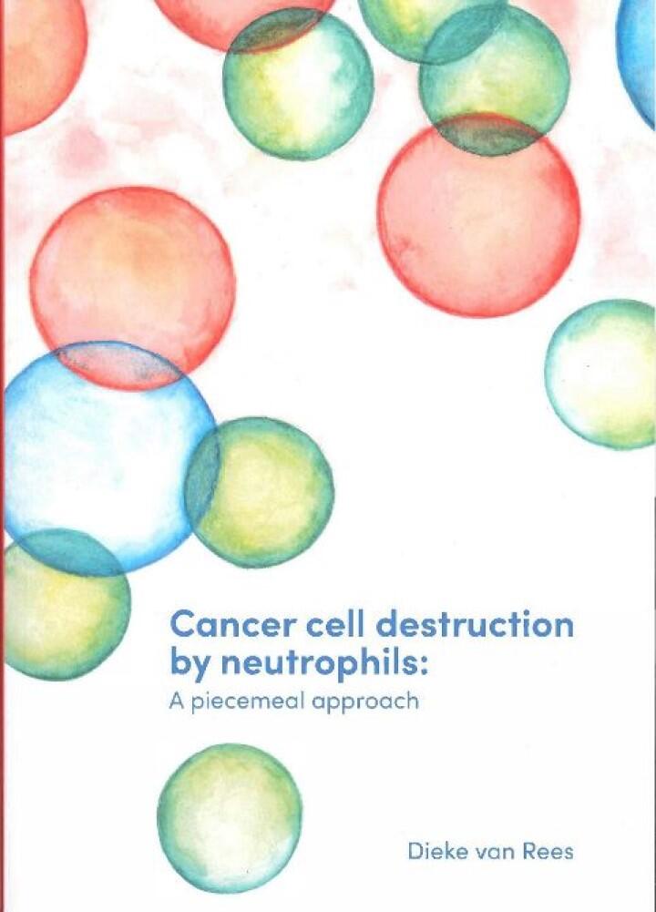 Thesis Dieke van Rees