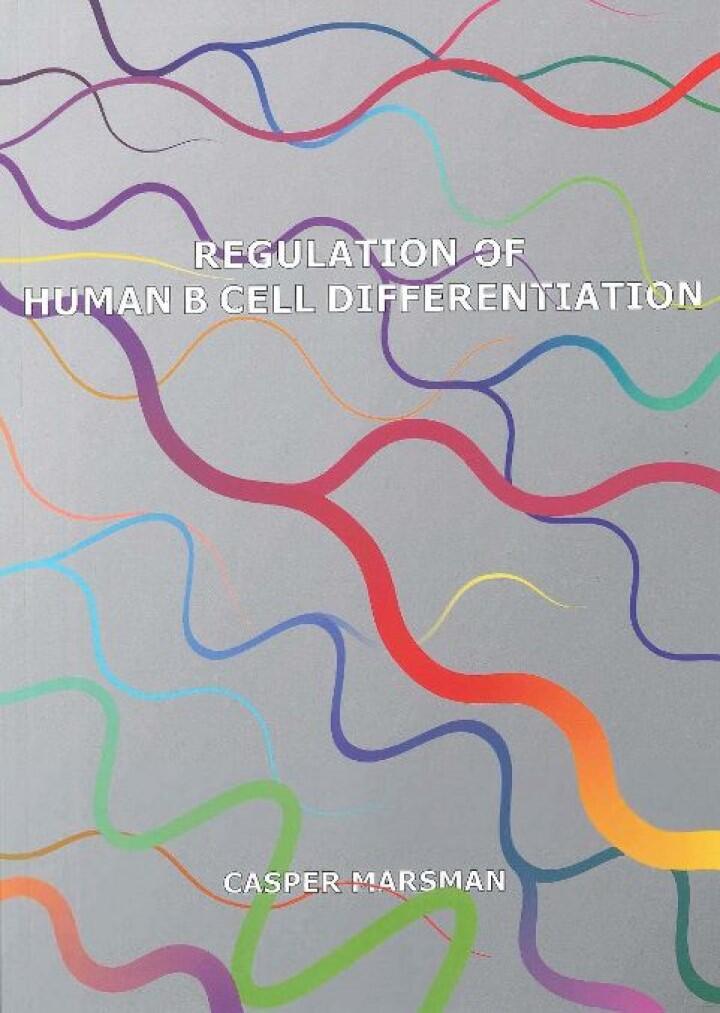Thesis Casper Marsman