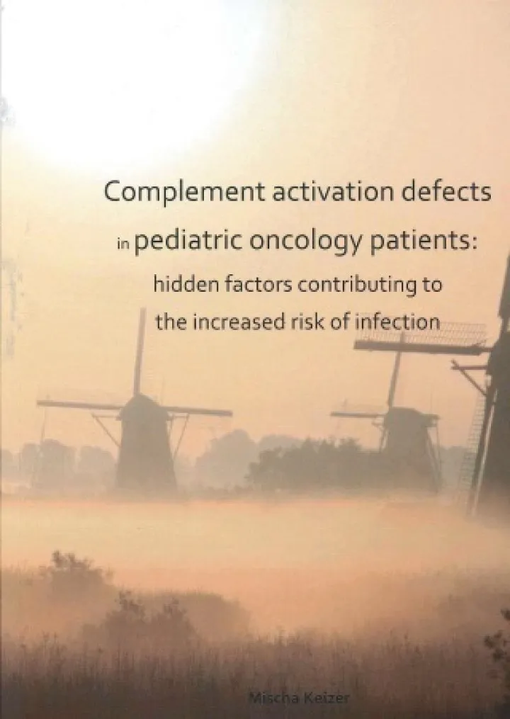 Cover thesis Mischa Keizer