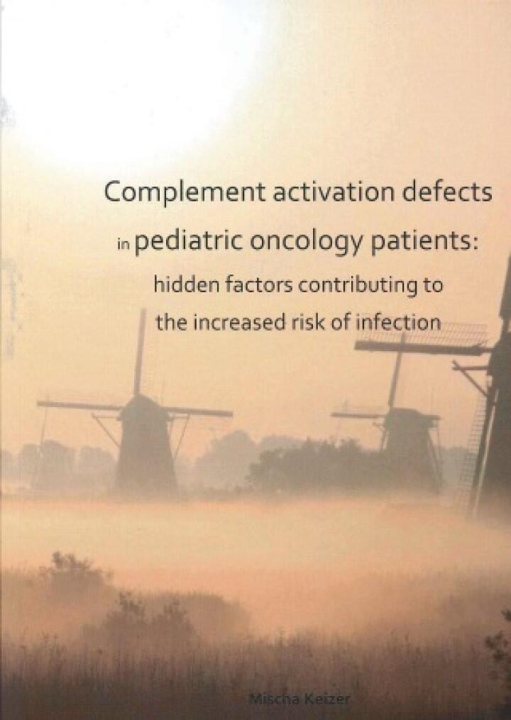 Cover thesis Mischa Keizer