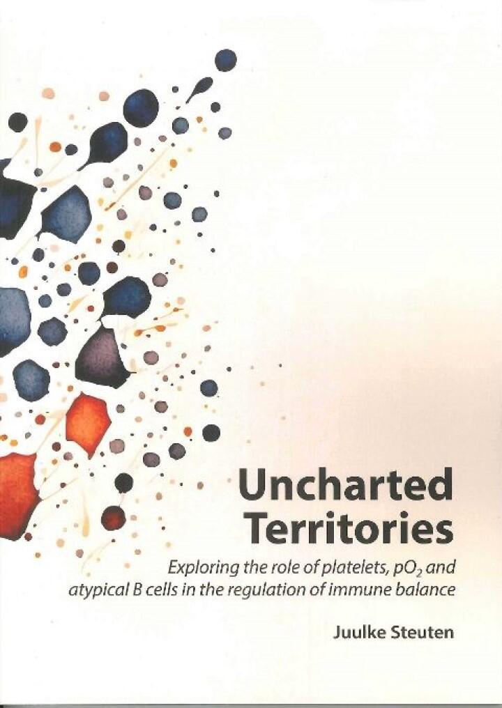 Thesis Juulke Steuten