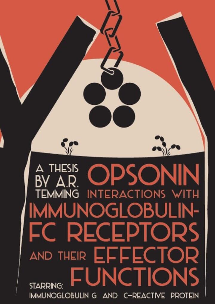 Cover thesis Robin Temming