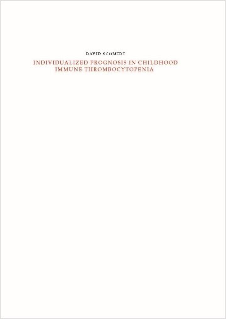 Thesis David Schmidt
