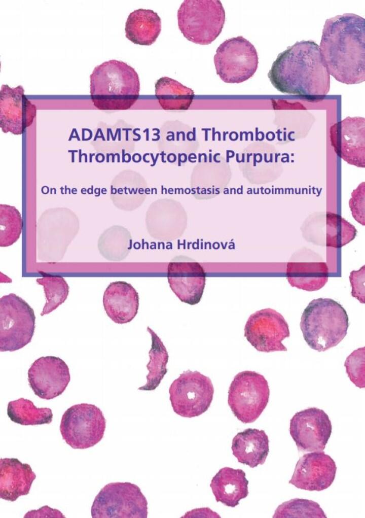 Cover thesis Johana Hrdinová