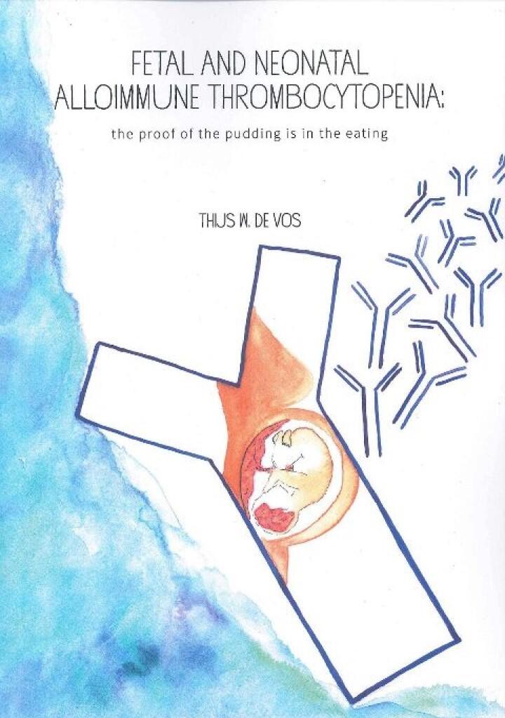 Thesis Thijs de Vos