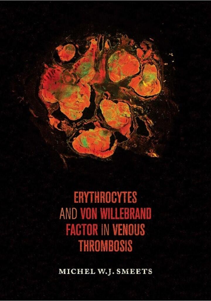 Cover thesis Michel Smeets
