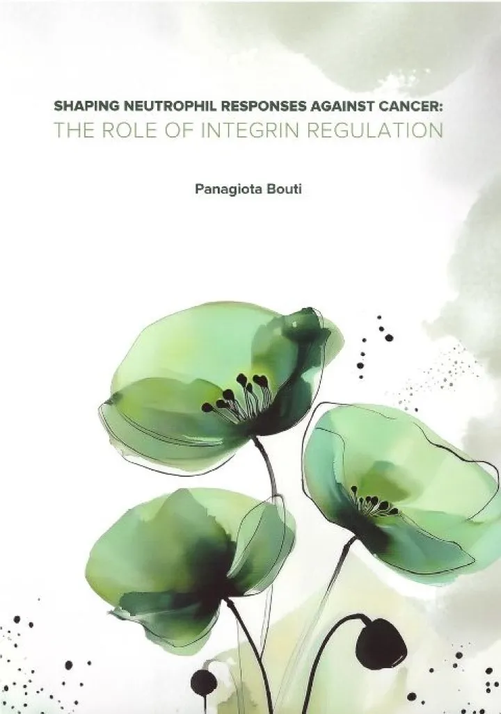 Thesis-Panagiota-Bouti